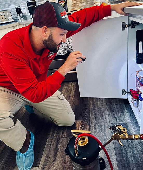 Professional pest control services by Bug City Pest Management